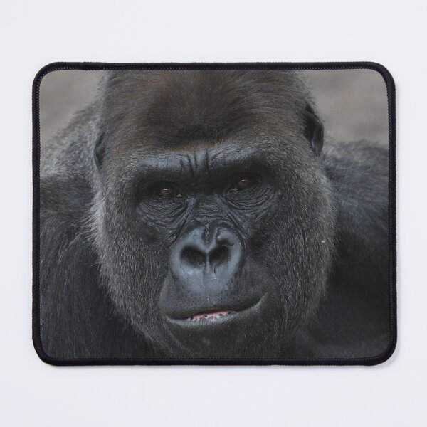 Item preview, Silverback Gorilla Portrait designed and sold by Kim Pruim.
