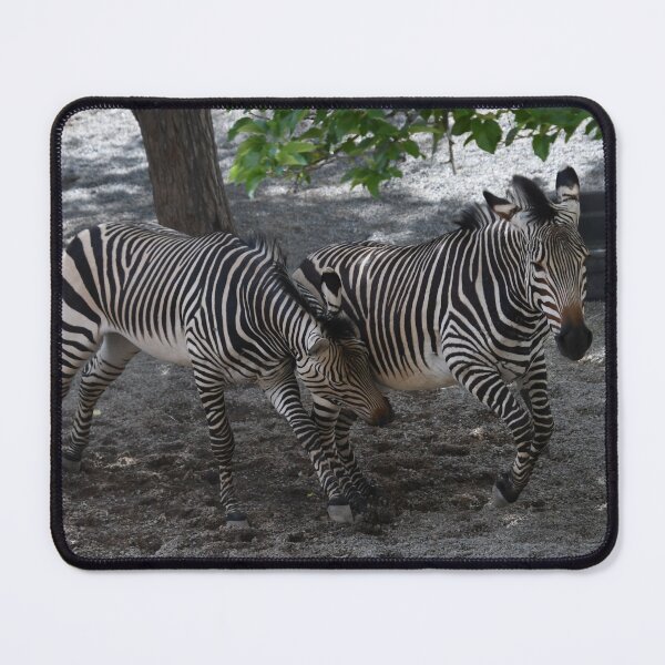 Item preview, Zebra Playtime designed and sold by Kim Pruim.