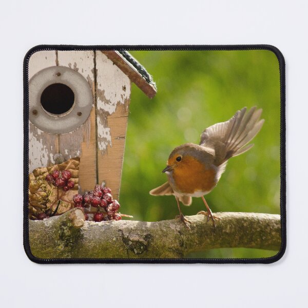 Item preview, Christmas Robin  designed and sold by ollygriffin.