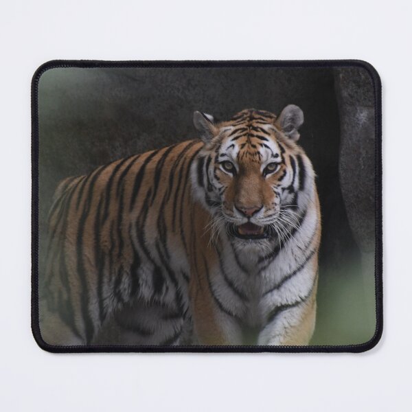 Item preview, Making An Apperance designed and sold by Kim Pruim.