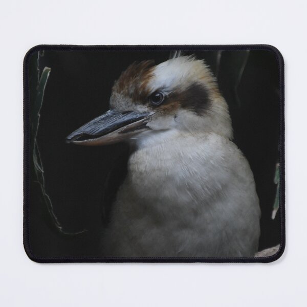 Item preview, Kookaburra Portrait designed and sold by Kim Pruim.