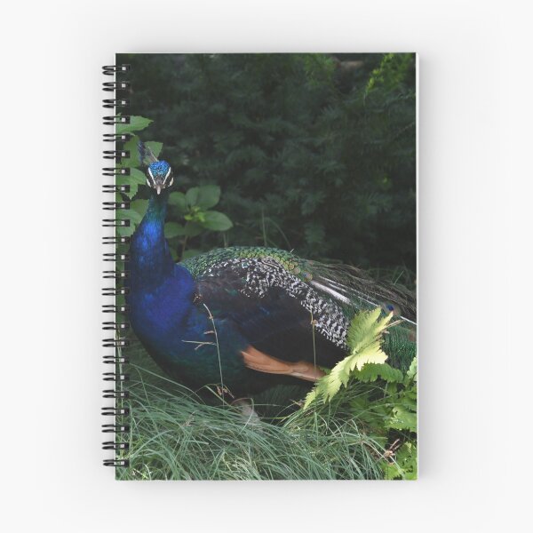Item preview, Peacock Portrait designed and sold by Kim Pruim.