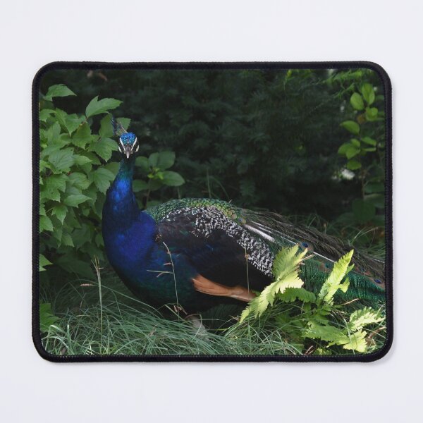 Item preview, Peacock Portrait designed and sold by Kim Pruim.
