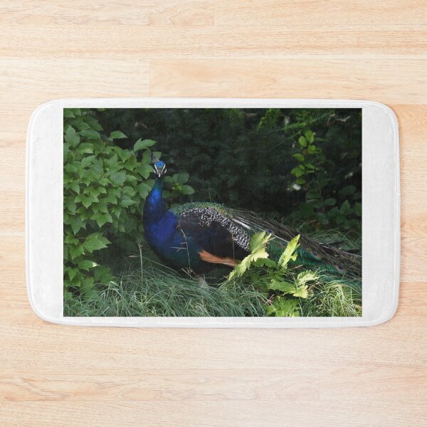 Item preview, Peacock Portrait designed and sold by Kim Pruim.