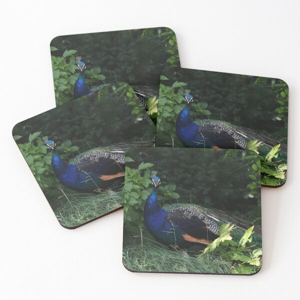 Item preview, Peacock Portrait designed and sold by Kim Pruim.