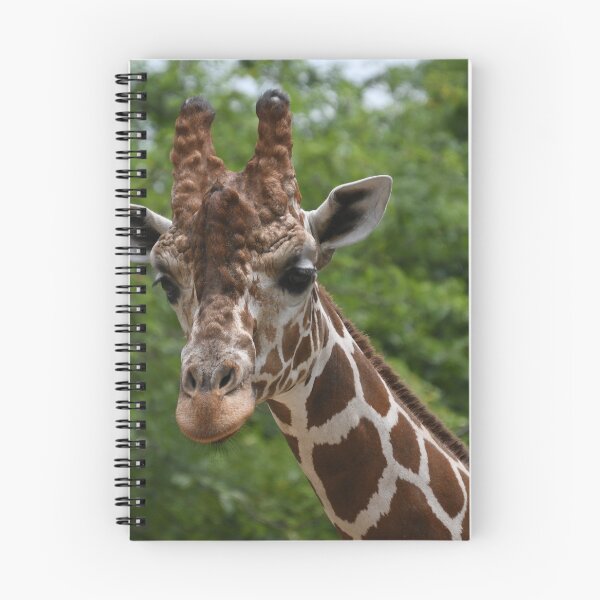 Item preview, Giraffe Portrait designed and sold by Kim Pruim.