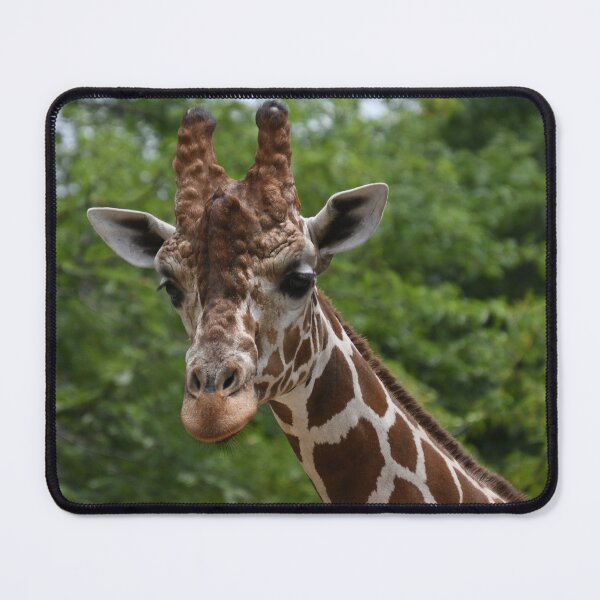 Item preview, Giraffe Portrait designed and sold by Kim Pruim.