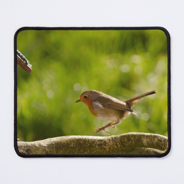 Item preview, Robin designed and sold by ollygriffin.