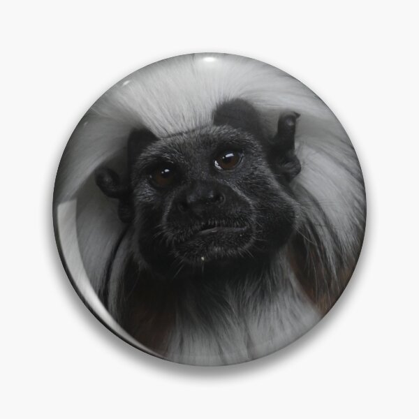 Item preview, Tamarin Portrait designed and sold by Kim Pruim.
