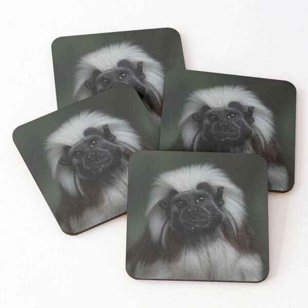 Item preview, Tamarin Portrait designed and sold by Kim Pruim.