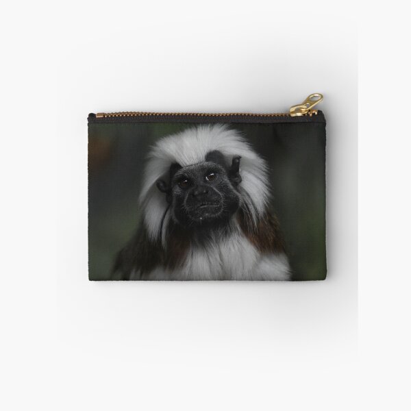 Item preview, Tamarin Portrait designed and sold by Kim Pruim.