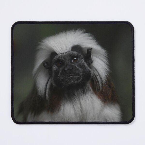 Item preview, Tamarin Portrait designed and sold by Kim Pruim.