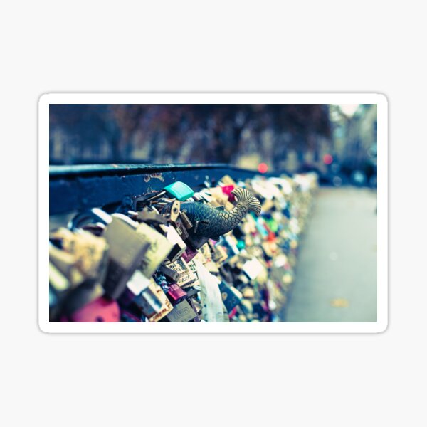 Fish Out of Water - Paris Love Locks Sticker