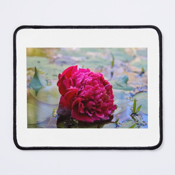 Item preview, Pink Lady Lily designed and sold by Bennerfamily.
