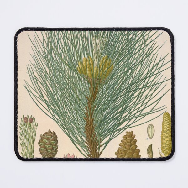 Item preview, Botanical Pine designed and sold by BlueSpecsStudio.