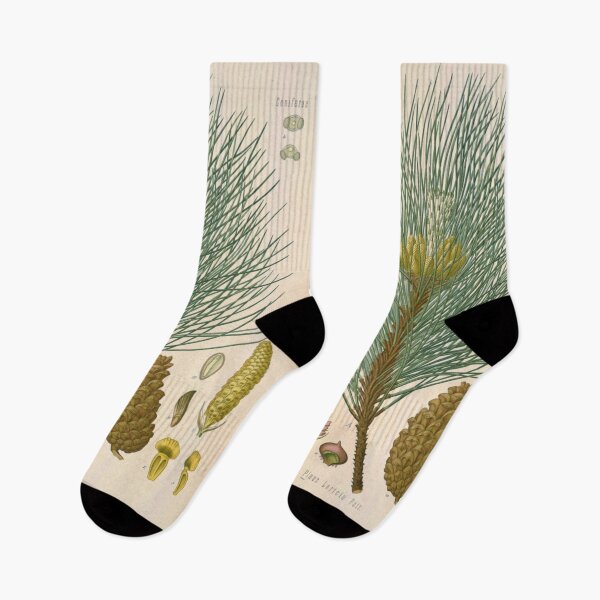 Item preview, Botanical Pine designed and sold by BlueSpecsStudio.