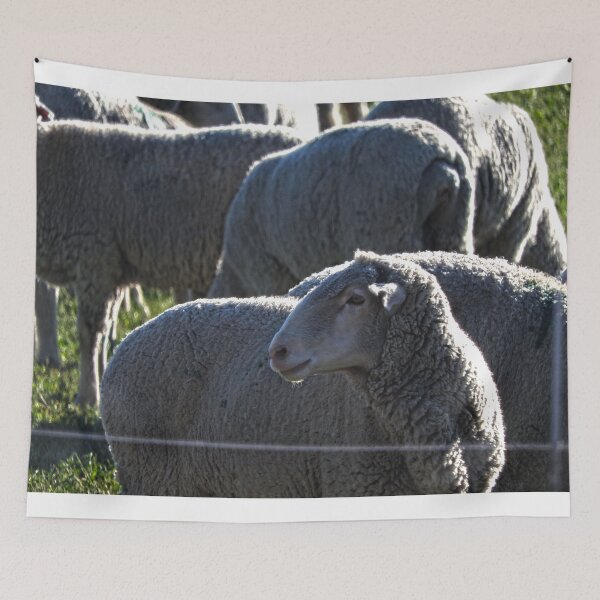 Item preview, Beautiful sheep face, glowing sheep designed and sold by Stephanie  Skeem.