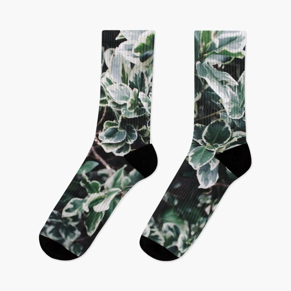 Item preview, Climbing Flora designed and sold by RoseyElisabeth.