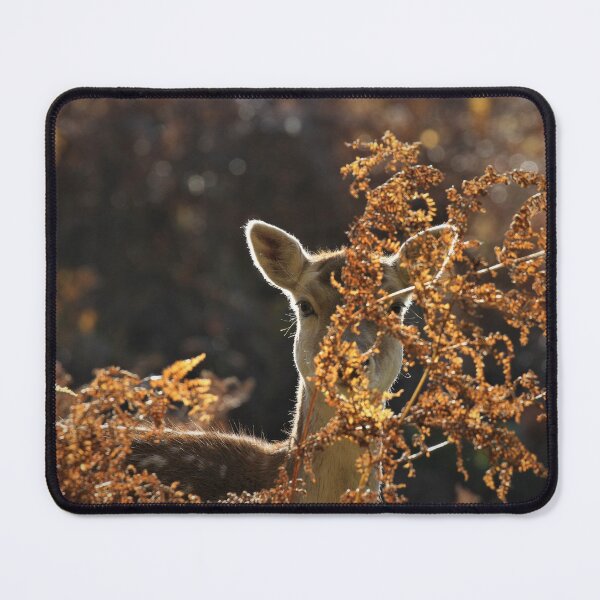Item preview, Fallow Deer  designed and sold by Christian Moss.