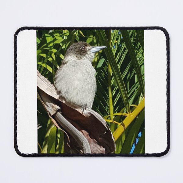 Item preview, Butcherbird designed and sold by JulieMoss.