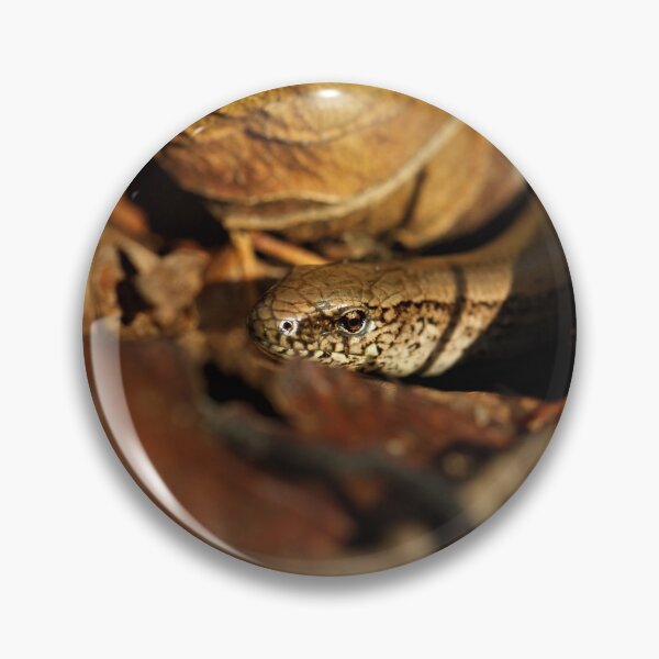 Item preview, Slow worm in the leaf litter. designed and sold by Christian Moss.