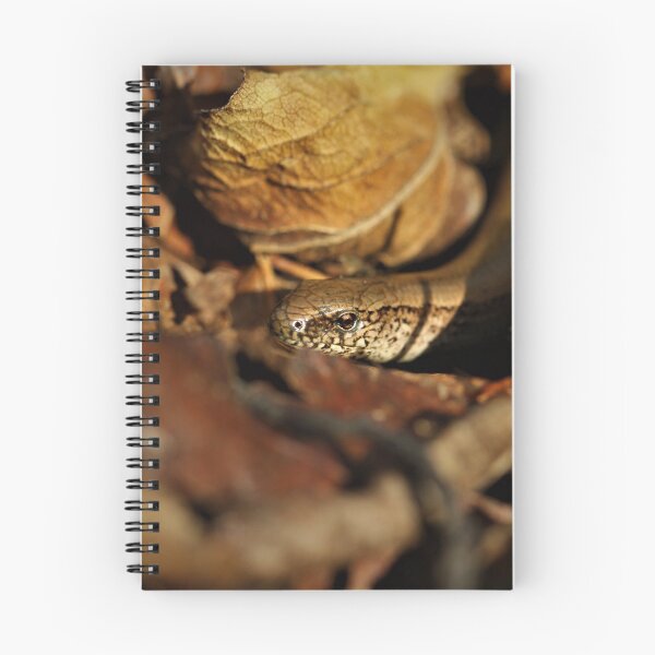 Item preview, Slow worm in the leaf litter. designed and sold by Christian Moss.