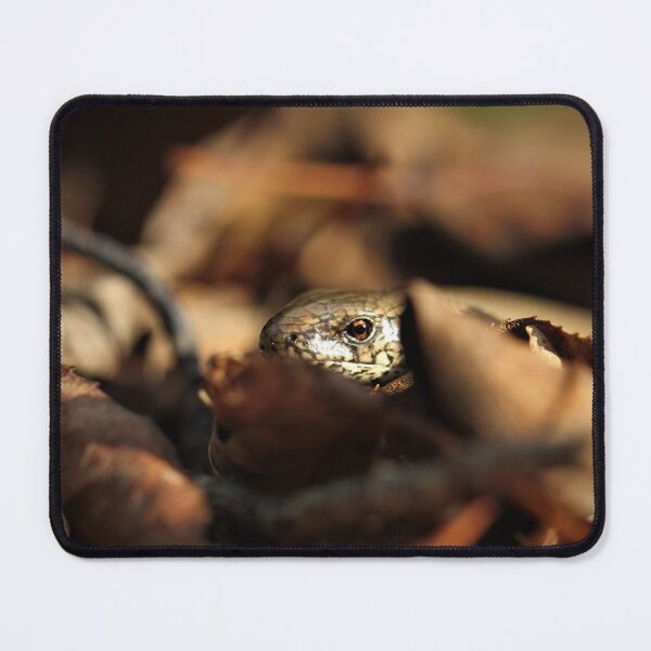 Item preview, Slow worm or legless lizard. designed and sold by Christian Moss.