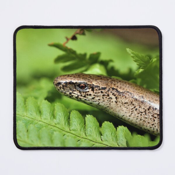 Item preview, Slow worm. designed and sold by Christian Moss.