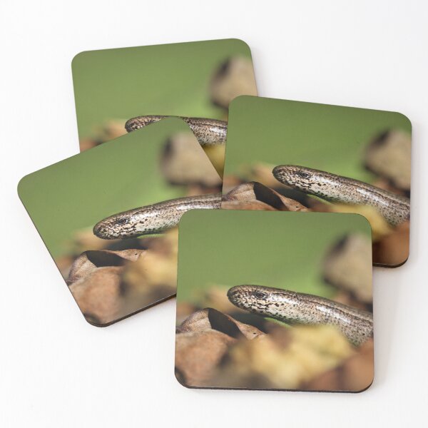 Item preview, Slow worm. designed and sold by Christian Moss.