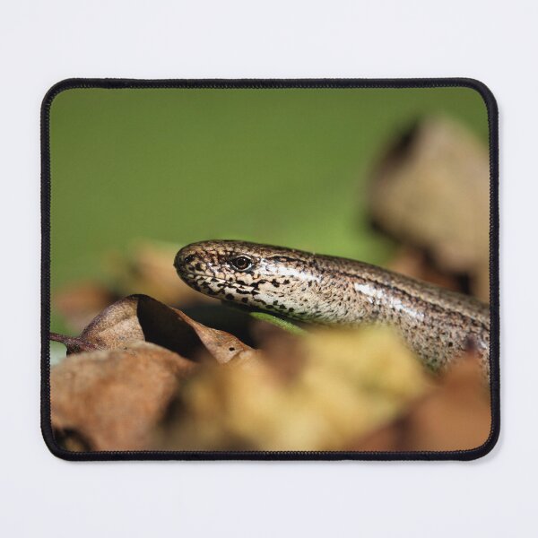 Item preview, Slow worm. designed and sold by Christian Moss.