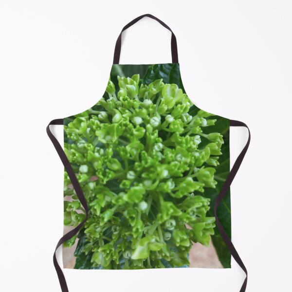 Artikelvorschau, Blumenstrauß (bereit zum Blühen) entworfen und verkauft von Paint84.