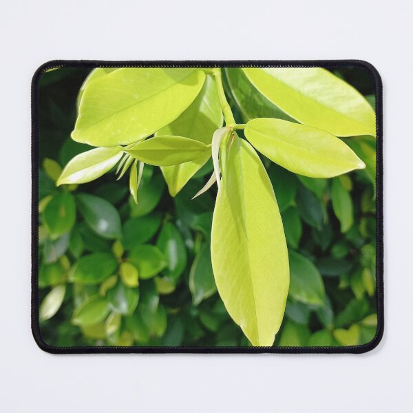 Item preview, Green leaf kissed the sun. designed and sold by Paint84.