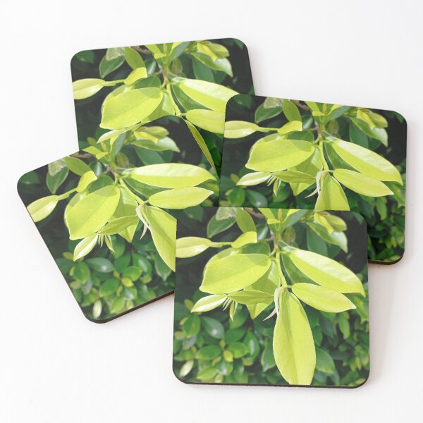 Item preview, Green leaf kissed the sun. designed and sold by Paint84.