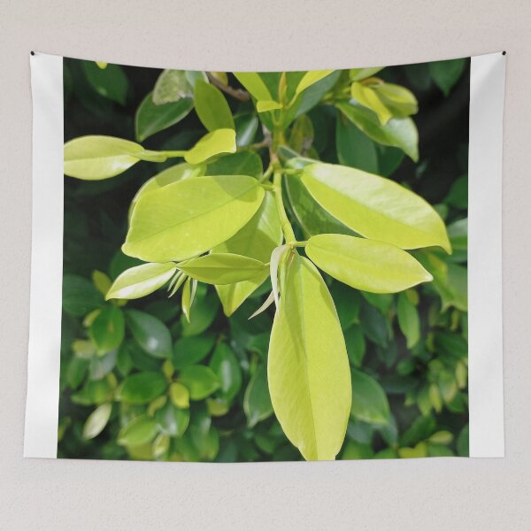 Item preview, Green leaf kissed the sun. designed and sold by Paint84.