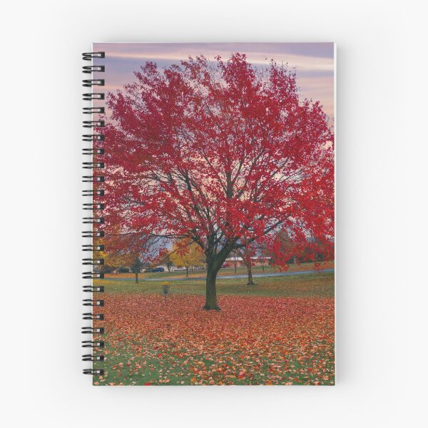 Item preview, Red Zone designed and sold by Steve Walser.