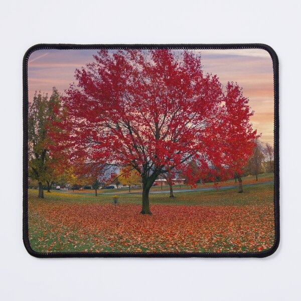 Item preview, Red Zone designed and sold by Steve Walser.