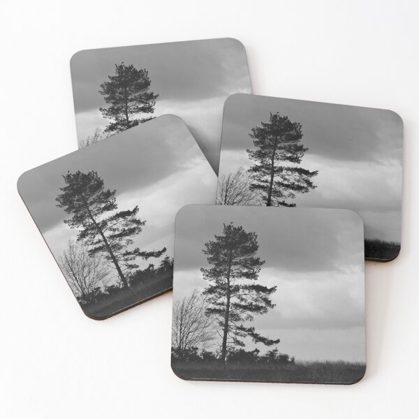 Item preview, Ashdown Forest - East Sussex. designed and sold by Christian Moss.