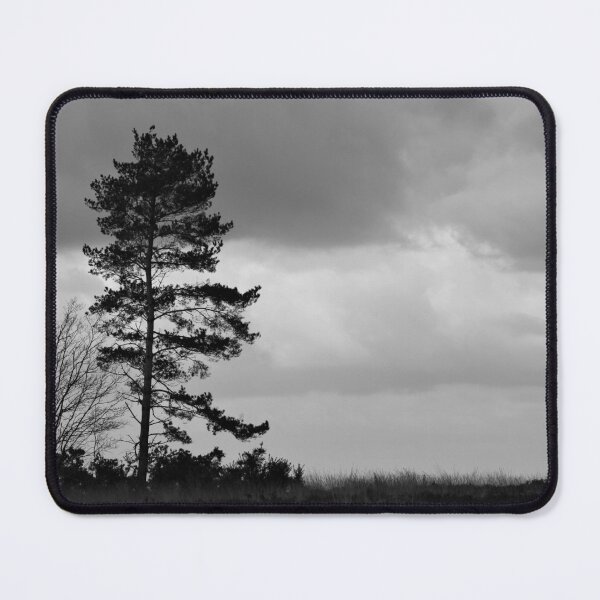 Item preview, Ashdown Forest - East Sussex. designed and sold by Christian Moss.