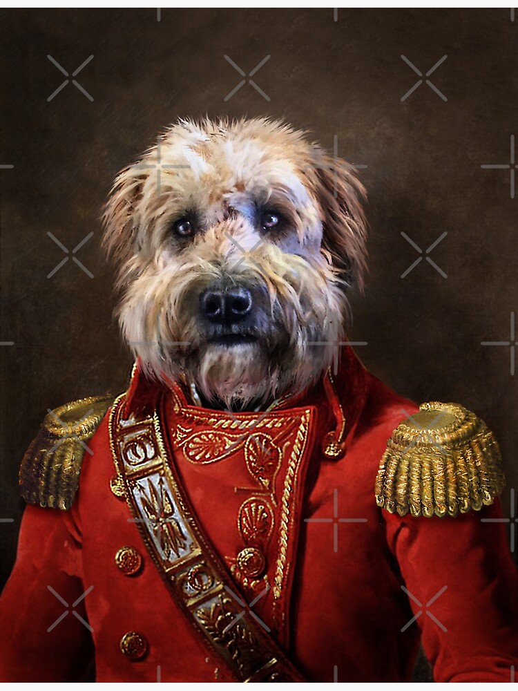 Dog Portrait - Winston by carpo17