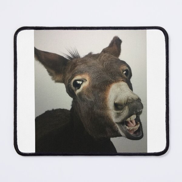 Item preview, Domestic animal in the horse family designed and sold by zaniedse.