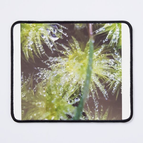 Item preview, Dewy Moss designed and sold by JulieMoss.