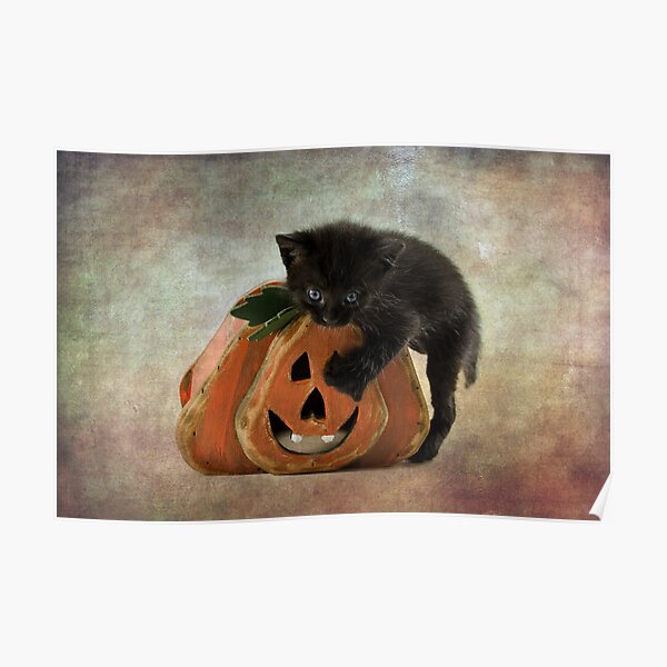 Halloween Blacky Poster