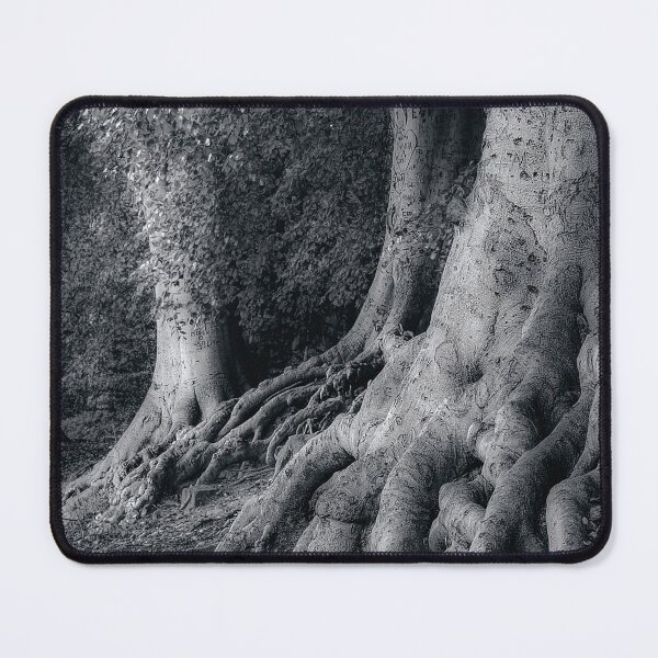 Item preview, The Beech Trees Of Newmillerdam designed and sold by Alisonchambers2.
