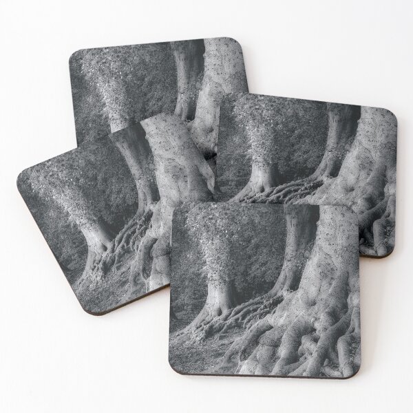 Item preview, The Beech Trees Of Newmillerdam designed and sold by Alisonchambers2.