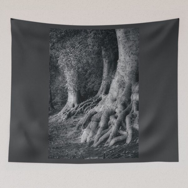 Item preview, The Beech Trees Of Newmillerdam designed and sold by Alisonchambers2.