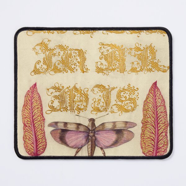 Item preview, Naturalist Manuscript: Insect, Leaves, and Calligraphy Illumination by Joris Hoefnagel designed and sold by Naturalist Prints.