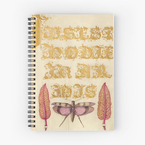 Item preview, Naturalist Manuscript: Insect, Leaves, and Calligraphy Illumination by Joris Hoefnagel designed and sold by Naturalist Prints.