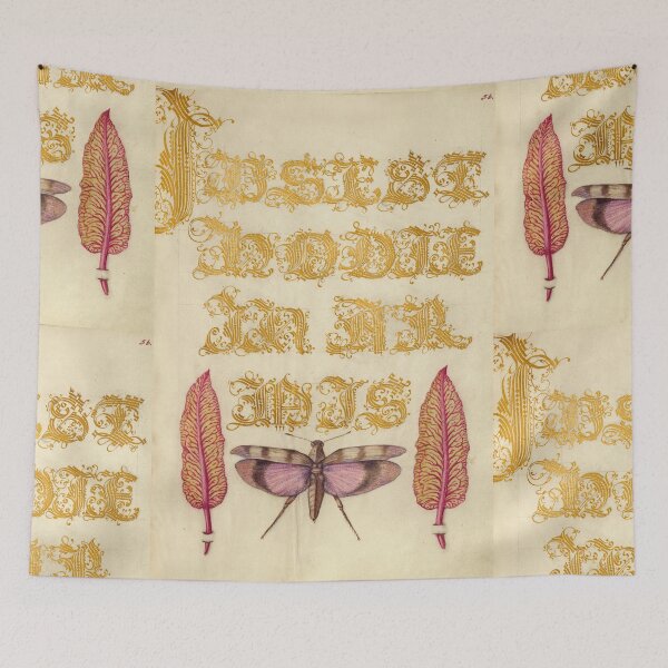 Item preview, Naturalist Manuscript: Insect, Leaves, and Calligraphy Illumination by Joris Hoefnagel designed and sold by Naturalist Prints.