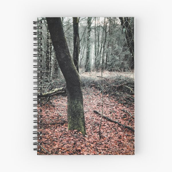 Item preview, Dark Bark and feelings of the fall designed and sold by Jouko Lehto Photography.