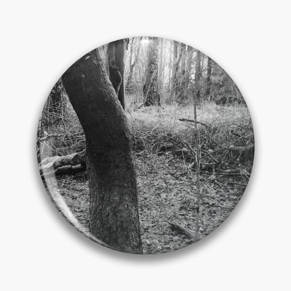 Item preview, Dark Bark and feelings of the fall bw designed and sold by Jouko Lehto Photography.